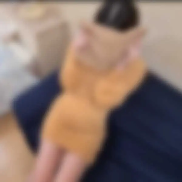 FC2-PPV-4751120 FC2-PPV-4751120 50%OFF!SSS級/　愛人よりも嫁にしたいオンナ、No. 1　癒し系美女に孕ませ中出し！ ！！