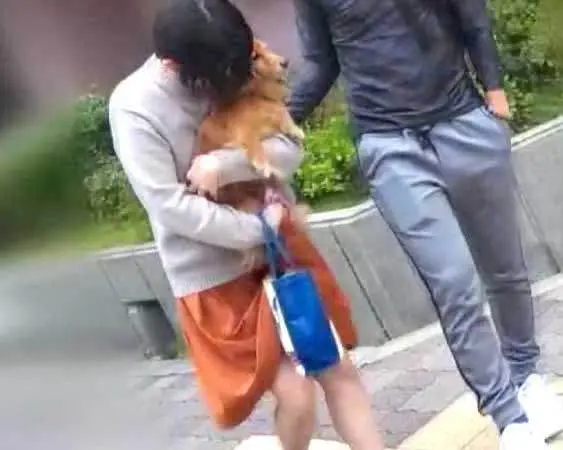 FC2-PPV-3129172 【個人】 黒髪ショートの犬好き新妻。愛犬の散歩中に捕まえ新婚宅まで押し入りペットも気にせず中出し制裁